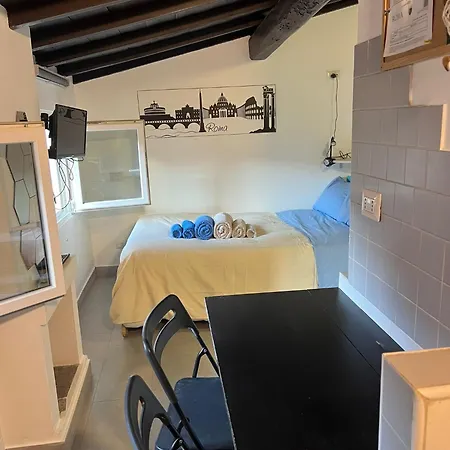 Monolocale Trastevere Locato Per Finalità Turistiche Roma