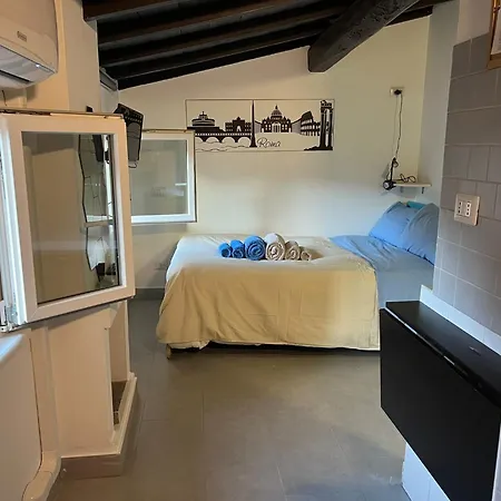 Monolocale Trastevere Locato Per Finalita Turistiche Apartmán Řím